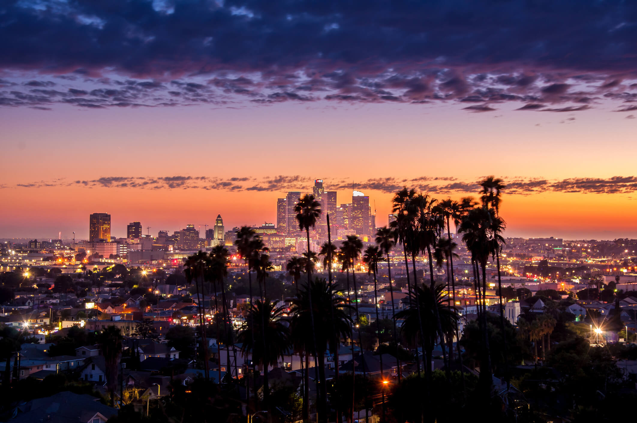 Beautiful night of Los Angeles downtown skyline and palm trees in foreground