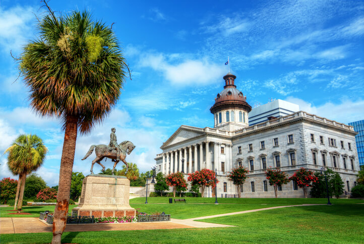 Your Guide to Adoption Agencies in Columbia, SC