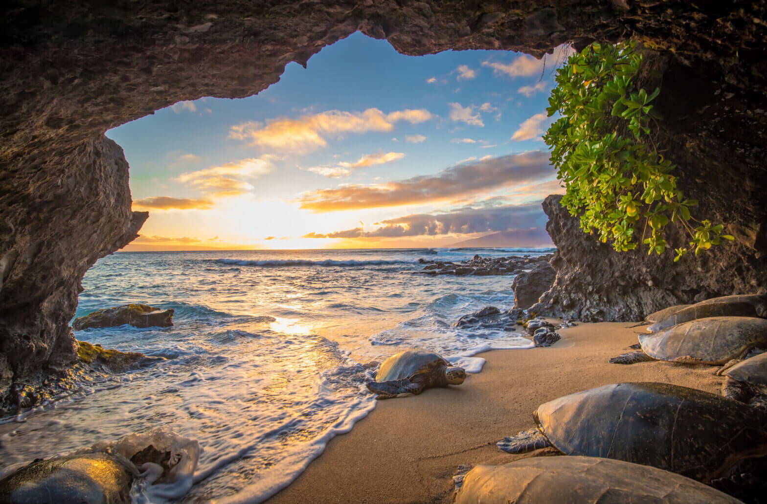 Beautiful ocean view in Hawaii